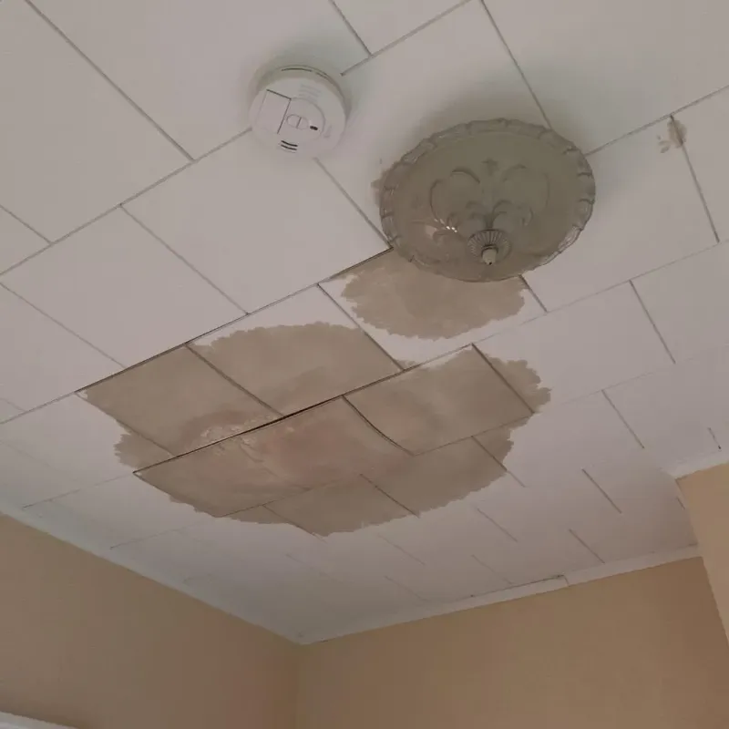 Ceiling Water Damage Repair in Powells Crossroads, TN