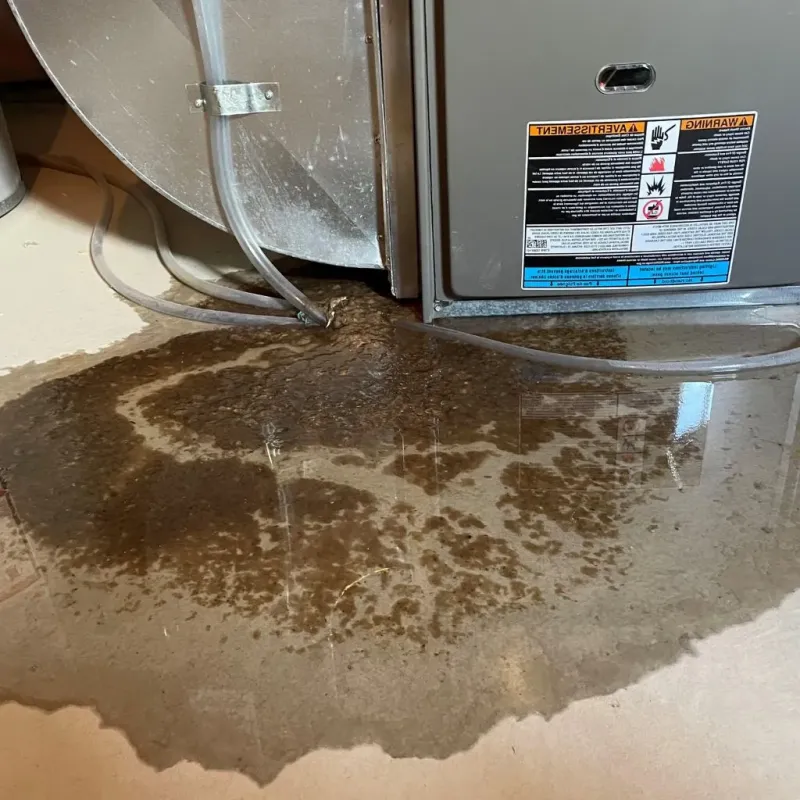 Pipe Burst and Leak Restoration in Powells Crossroads, TN