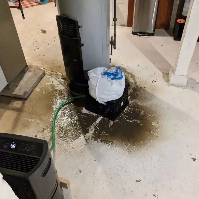 Sewage Backup Cleanup Service in Powells Crossroads, TN